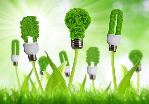 Green-colored animated light bulbs which represents the blog "energy-efficient lighting solutions".